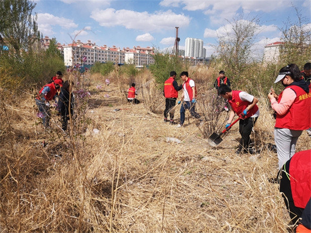 1557471898602445.jpg 3.jpg